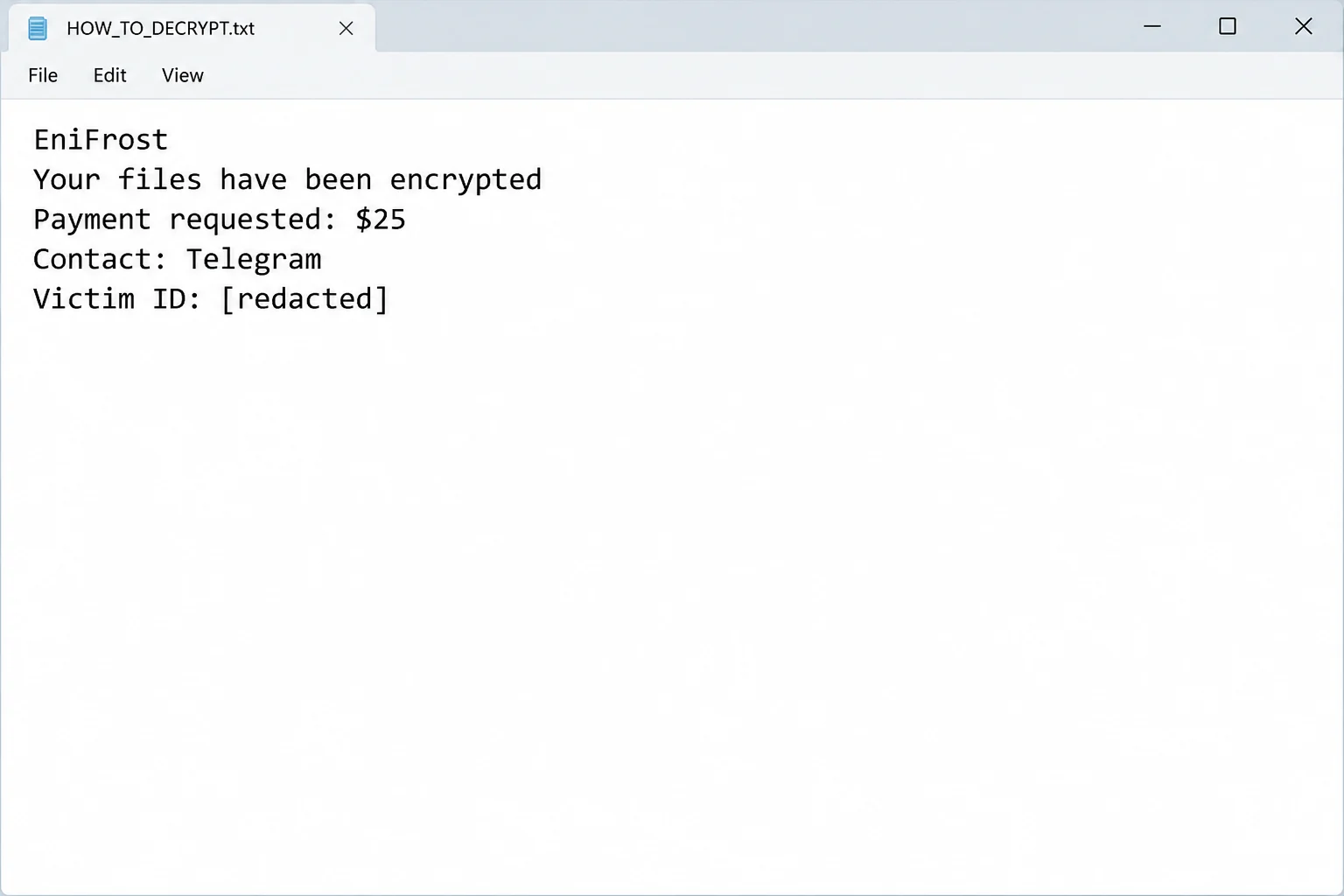 computer security